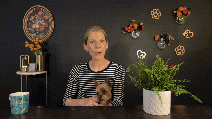 Setting Up for Success